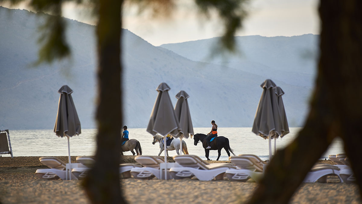 Mythos Palace Resort and spa 